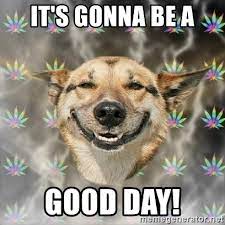 It's gonna be a good day! - Stoner Dog | Meme Generator